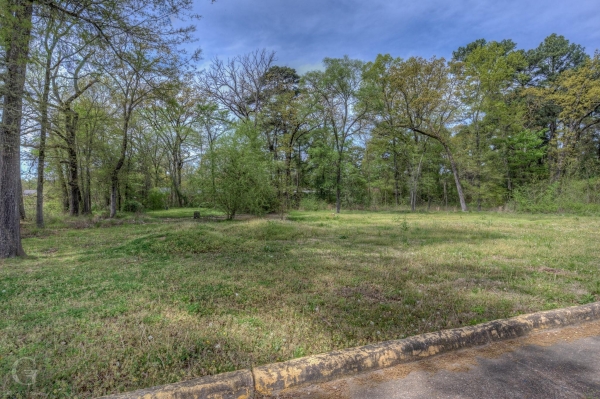 Listing Image #2 - Others for sale at Lots 15 & Millard Street, Shreveport LA 71108