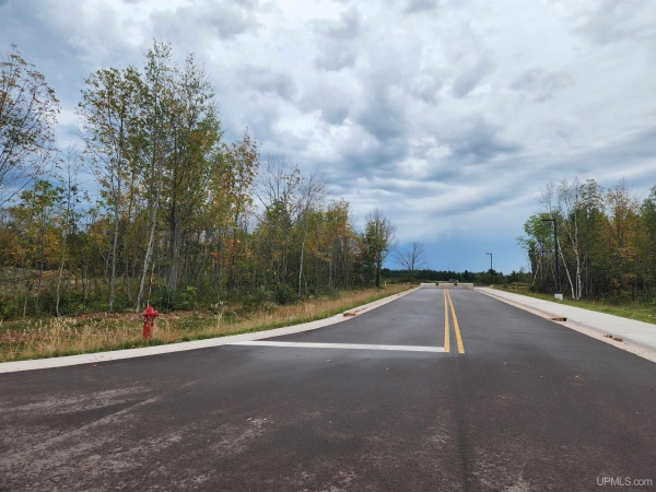 Listing Image #3 - Land for sale at TBD1 Dolomite, Hancock MI 49930