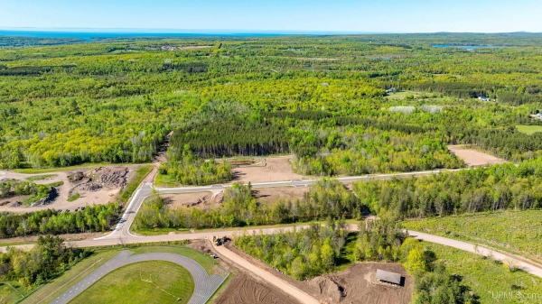 Listing Image #1 - Land for sale at TBD14 Dolomite, Hancock MI 49930