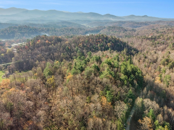 Listing Image #2 - Land for sale at 00 Bryant Farm Ln, Ellijay GA 30540