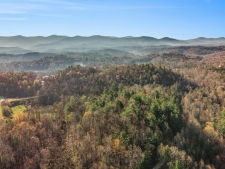 Listing Image #3 - Land for sale at 00 Bryant Farm Ln, Ellijay GA 30540