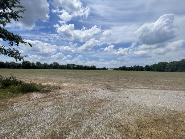 Listing Image #1 - Land for sale at 000 Old Bainbridge Road, Marion IL 62959