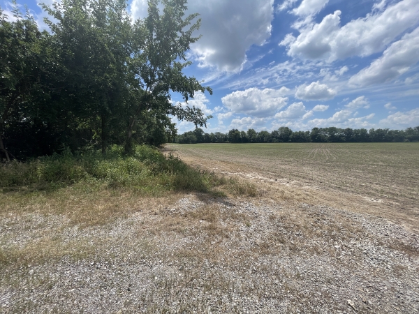 Listing Image #2 - Land for sale at 000 Old Bainbridge Road, Marion IL 62959