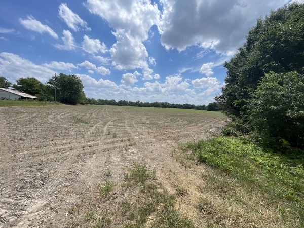 Listing Image #3 - Land for sale at 000 Old Bainbridge Road, Marion IL 62959