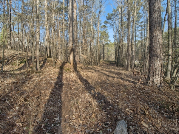 Listing Image #3 - Land for sale at 4155 Prestley Mill Rd, Douglasville GA 30135