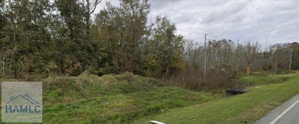 Listing Image #3 - Land for sale at 1931 South Coastal Highway, Midway GA 31320