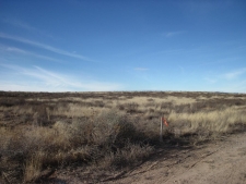 Others property for sale in Moriarty, NM