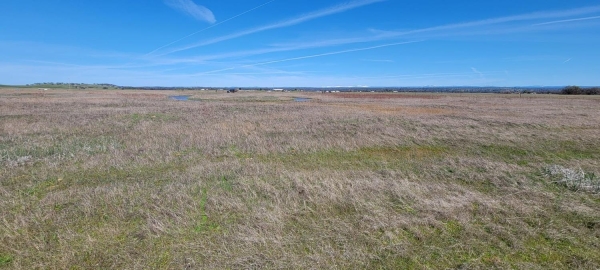 Listing Image #2 - Land for sale at Meiss Road, Sloughhouse CA 95683