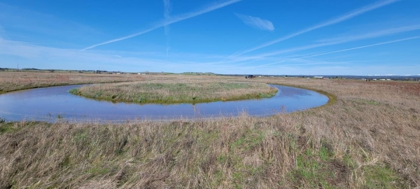 Listing Image #3 - Land for sale at Meiss Road, Sloughhouse CA 95683