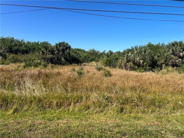 Listing Image #2 - Land for sale at 0000 Us Highway 1, Grant Valkaria FL 32949