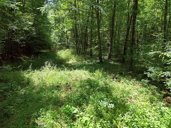 Listing Image #2 - Land for sale at Lt15/15A Hightower Ridge, Hiawassee GA 30546