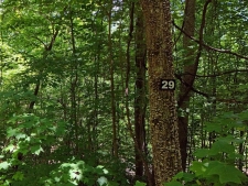 Listing Image #3 - Land for sale at Lot 29 Hidden Summit Road, Hiawassee GA 30546