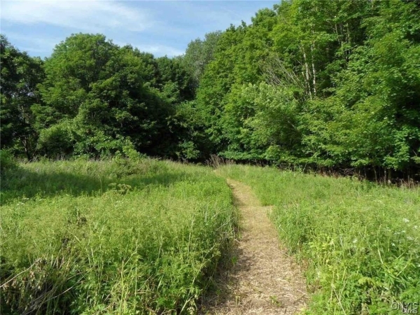 Listing Image #1 - Land for sale at Henderson Street, Whitestown NY 13492