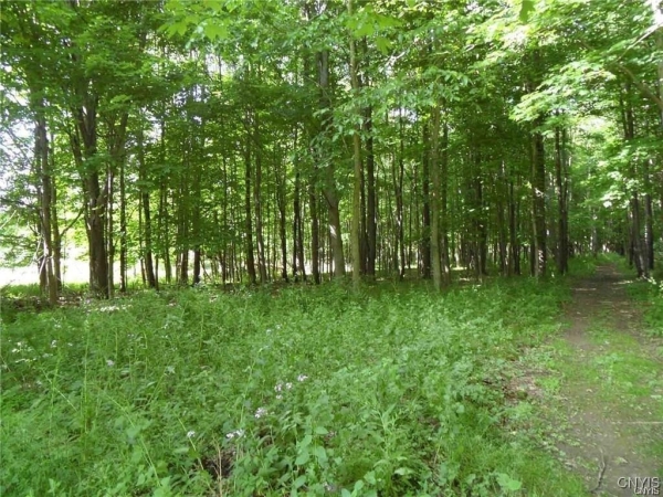 Listing Image #2 - Land for sale at Henderson Street, Whitestown NY 13492