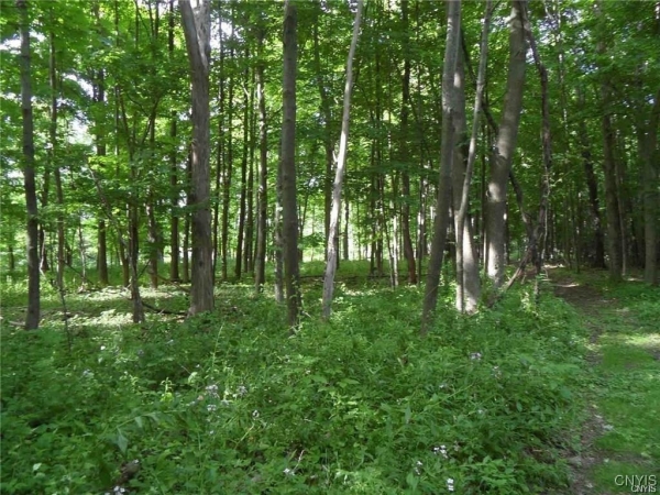 Listing Image #3 - Land for sale at Henderson Street, Whitestown NY 13492