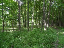 Listing Image #3 - Land for sale at Henderson Street, Whitestown NY 13492