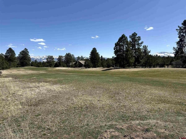 Listing Image #3 - Land for sale at TBD V314 Marmot Drive, Ridgway CO 81432