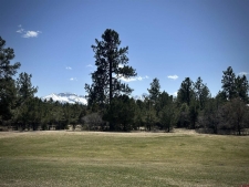 Listing Image #2 - Land for sale at TBD V314 Marmot Drive, Ridgway CO 81432