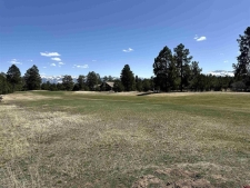 Listing Image #3 - Land for sale at TBD V314 Marmot Drive, Ridgway CO 81432