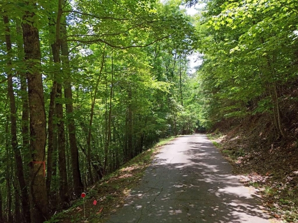 Listing Image #2 - Land for sale at Lot 30 Hidden Summit Road, Hiawassee GA 30548