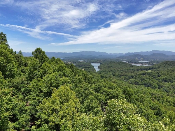 Listing Image #3 - Land for sale at Lot 30 Hidden Summit Road, Hiawassee GA 30548