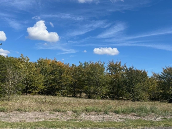 Listing Image #2 - Land for sale at TBD TX 224, Greenville TX 75401