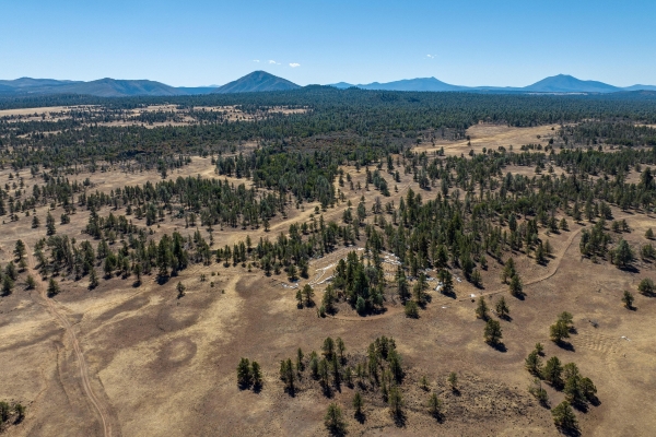 Listing Image #1 - Others for sale at Old Hwy Rd Road, Mcarthur CA 96056