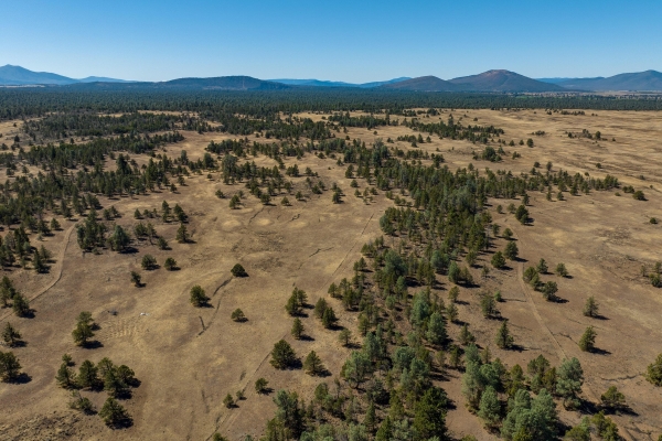 Listing Image #2 - Others for sale at Old Hwy Rd Road, Mcarthur CA 96056