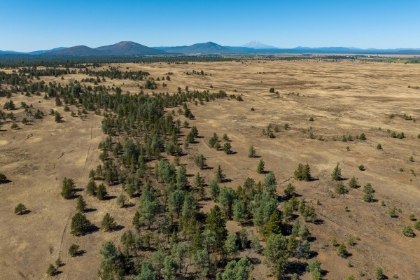 Listing Image #3 - Others for sale at Old Hwy Rd Road, Mcarthur CA 96056