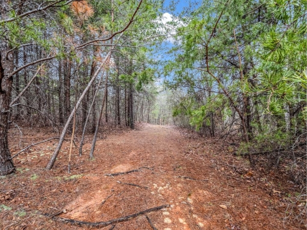 Listing Image #2 - Others for sale at 70 Pegasus Drive #70, 80 & 90, Tryon NC 28782
