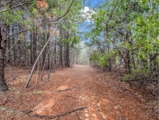 Listing Image #2 - Others for sale at 70 Pegasus Drive #70, 80 & 90, Tryon NC 28782