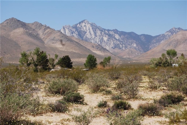 Listing Image #2 - Land for sale at 0 AVENIDA DEL SOL, Inyokern CA 93527