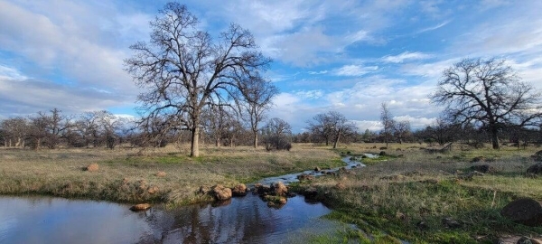 Listing Image #2 - Others for sale at Ca-44, Millville CA 96062