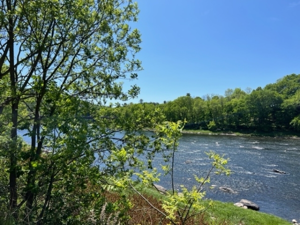 Listing Image #1 - Others for sale at 32 River Road, Barryville NY 12719