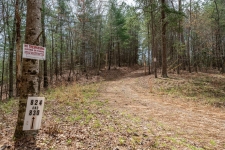 Land property for sale in Ellijay, GA