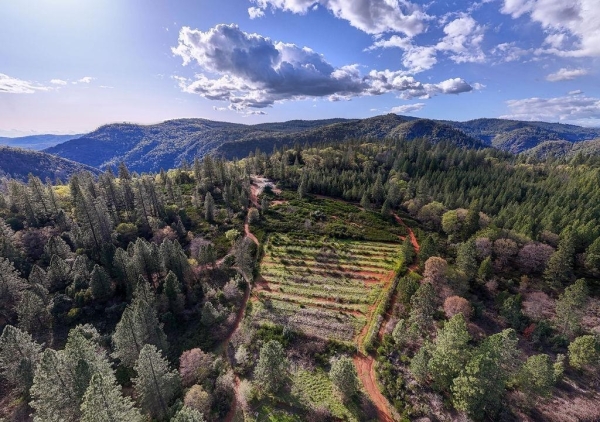 Listing Image #1 - Land for sale at 10571 Sebastopol Road, North San Juan CA 95960