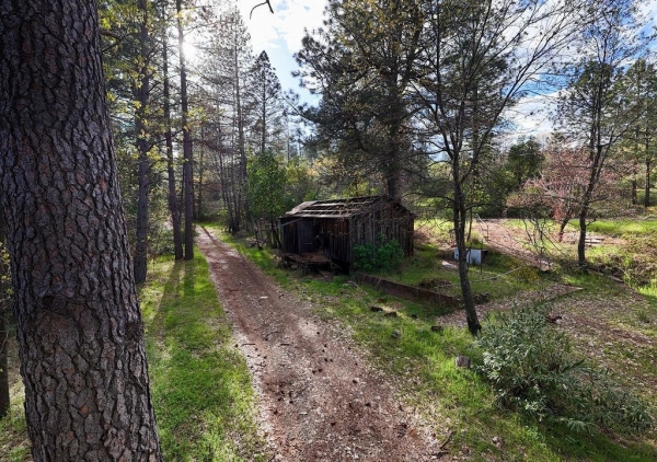 Listing Image #3 - Land for sale at 10571 Sebastopol Road, North San Juan CA 95960