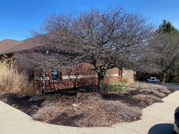 Listing Image #3 - Office for sale at 6080-6084 Lute Road, Portage IN 46368