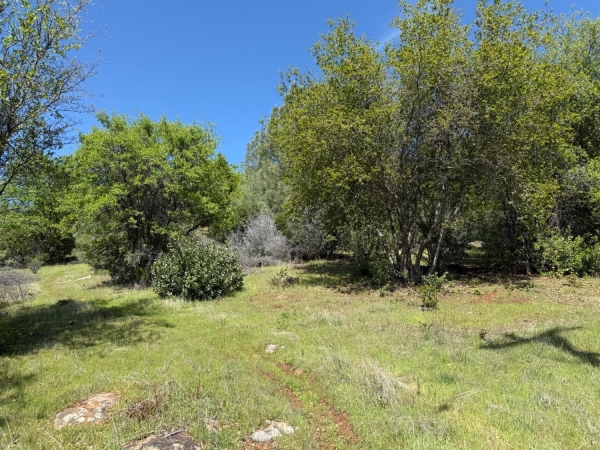Listing Image #3 - Land for sale at 14864 Stage Way, Dobbins CA 95935