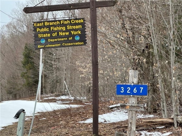 Listing Image #2 - Land for sale at 3267 Osceola Road, Lewis NY 13489