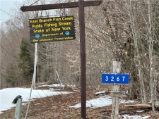Listing Image #2 - Land for sale at 3267 Osceola Road, Lewis NY 13489