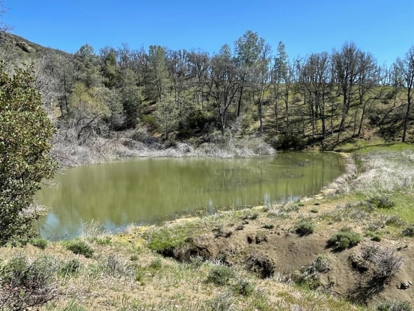 Listing Image #2 - Land for sale at 9650 Rocky Creek Rd, Lower Lake CA 95457