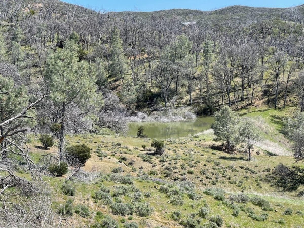 Listing Image #3 - Land for sale at 9650 Rocky Creek Rd, Lower Lake CA 95457