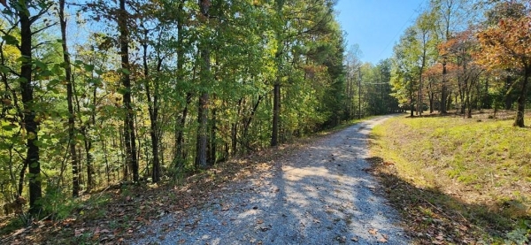 Listing Image #3 - Land for sale at Lot 1699 Shade Tree Drive, Talking Rock GA 30175