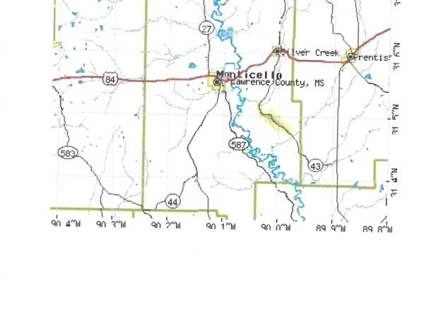 Listing Image #3 - Others for sale at 0 Hwy 43, Silver Creek MS 39663