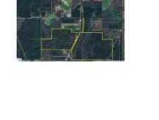 Others property for sale in Silver Creek, MS