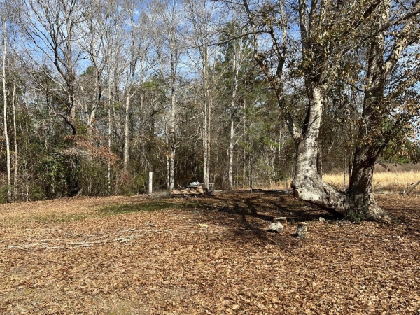 Listing Image #2 - Land for sale at 22198 Rd 209, Saucier MS 39574
