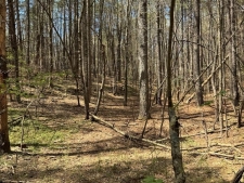 Land property for sale in Ellijay, GA
