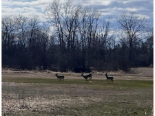 Others property for sale in Manitowoc, WI