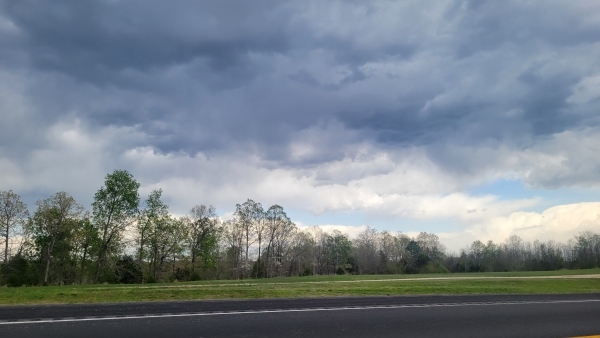 Listing Image #1 - Others for sale at 396 Highway 63, Ravenden AR 72459